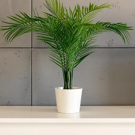 Langiewicza Deluxe By Bookinghost Lejlighed Stettin